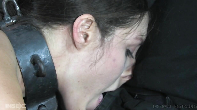 INFERNAL RESTRAINTS - Sister Dee - The Fly