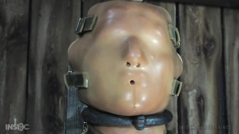 INFERNAL RESTRAINTS - Sister Dee - The Fly